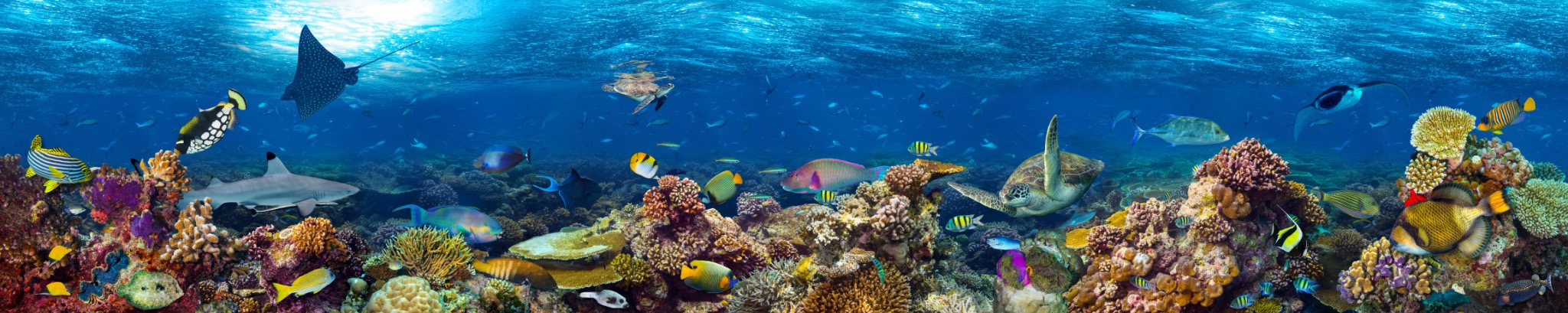 Blue Abyss scenic wallpaper – LH Lifestyle